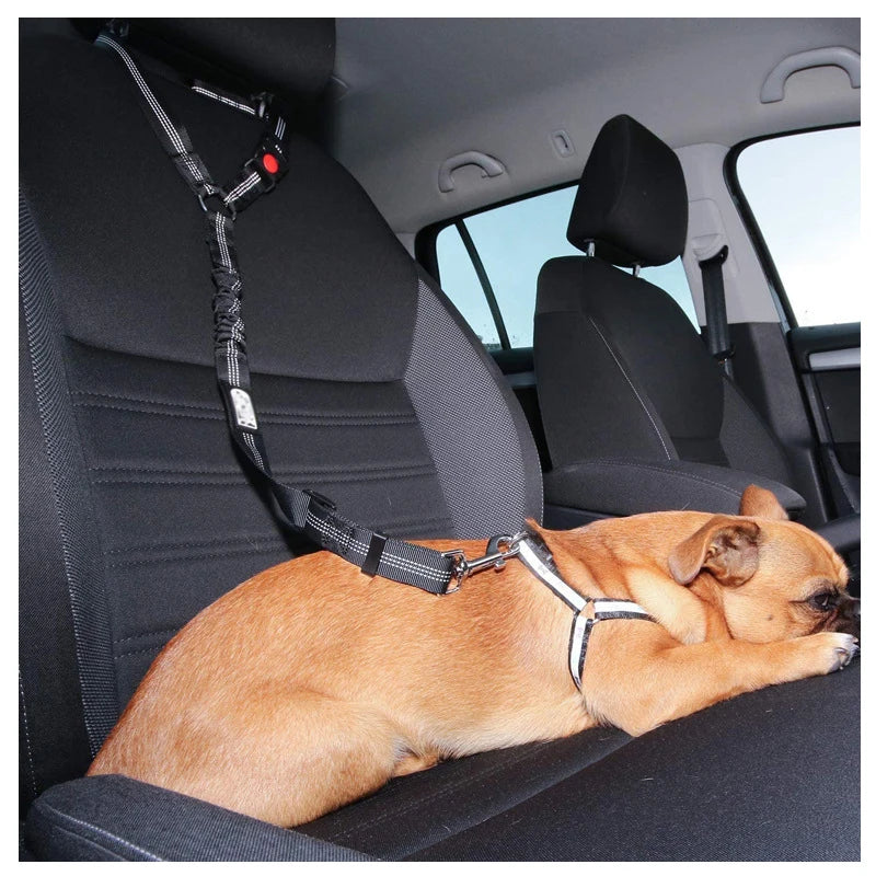 Dual-Use Dog Leash & Car Restraint – Adjustable Safety Harness for Pets