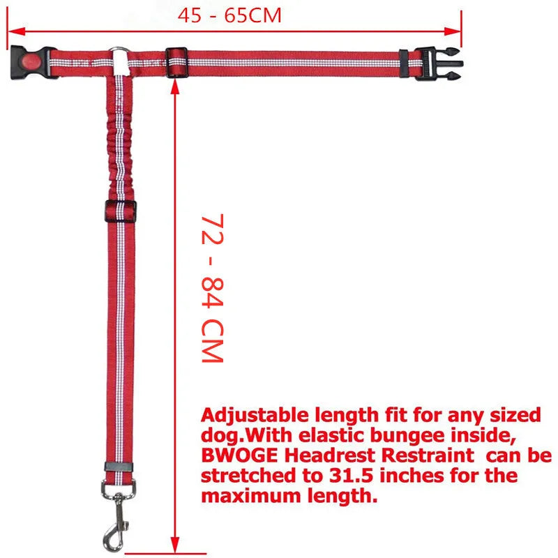 Dual-Use Dog Leash & Car Restraint – Adjustable Safety Harness for Pets